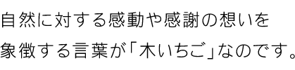 木いちご店舗紹介